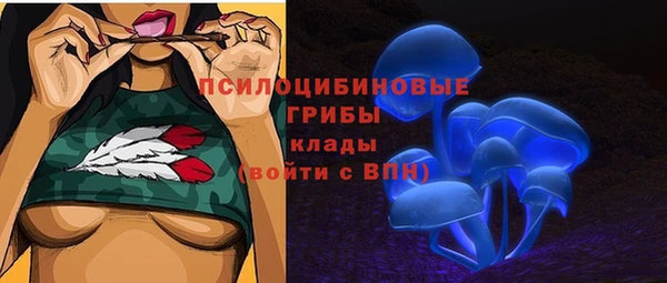 сатива Алексин