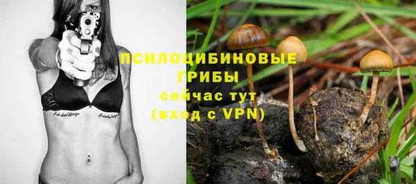 бошки Алзамай