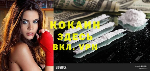 сатива Алексин