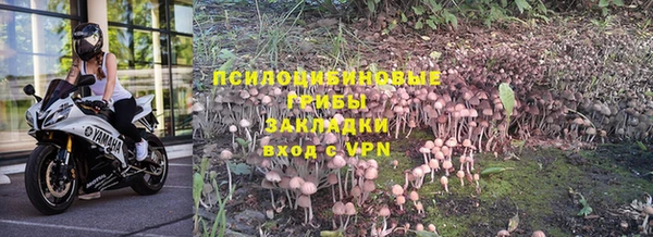 бошки Алзамай