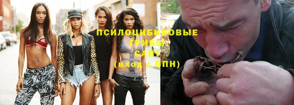 сатива Алексин